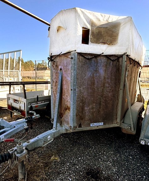 Gebrauchter Pongratz VA 145 T Viehanhänger 1300 kg – Bild 6