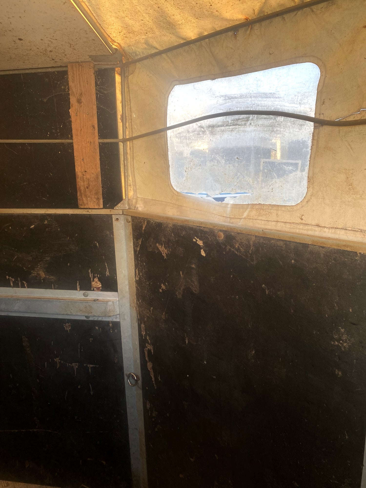 Gebrauchter Pongratz VA 145 T Viehanhänger 1300 kg – Bild 4